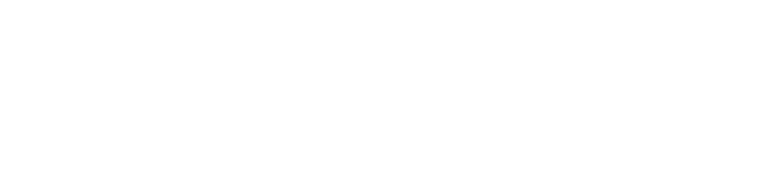 Studentenraad Faculteit der Natuurwetenschappen Wiskunde en Informatica